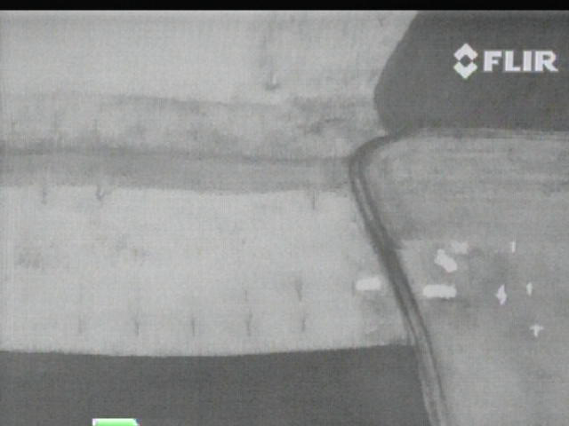 FLIR image at 100 m above ground.