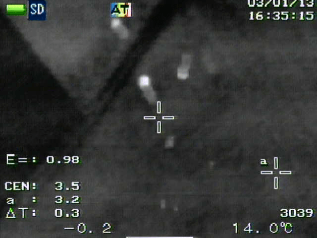 NEC image at 100 m above ground.