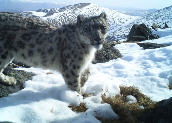 M2E85L235-233R368B322