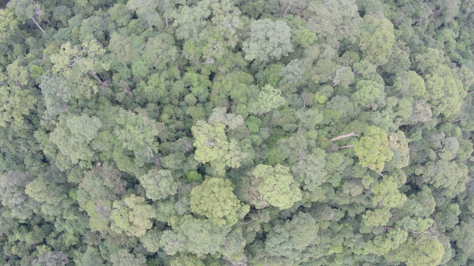 DCIM100GOPROG0010336.